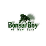 Bonsai Boy